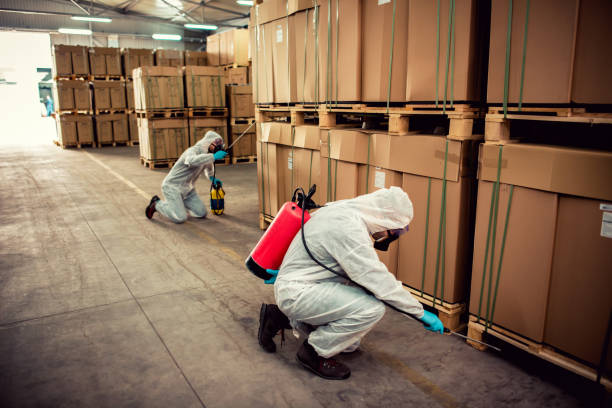 Best Wasp Removal Services  in Wye, MT