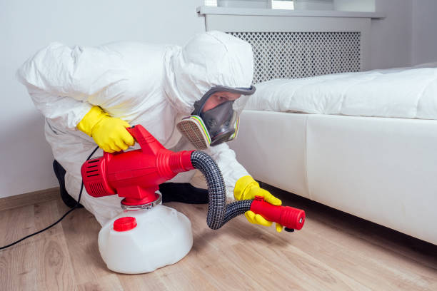 Best Exterminator Services  in Wye, MT