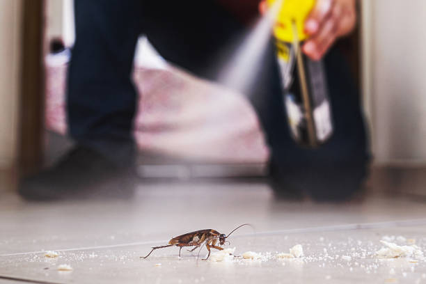 Best Affordable Pest Control Services  in Wye, MT