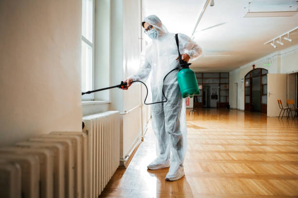 Best Pest Control Near Me  in Wye, MT
