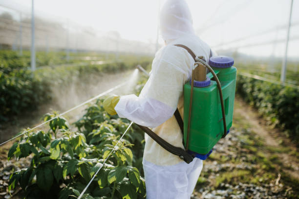 Trusted Wye, MT Pest Control Experts